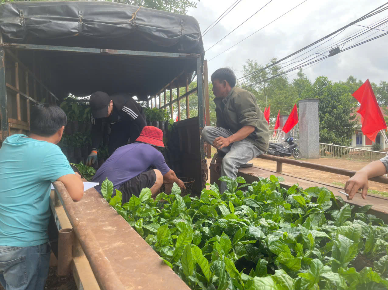 Hinh 3. Bà con nông dân tiếp nhận cây giống